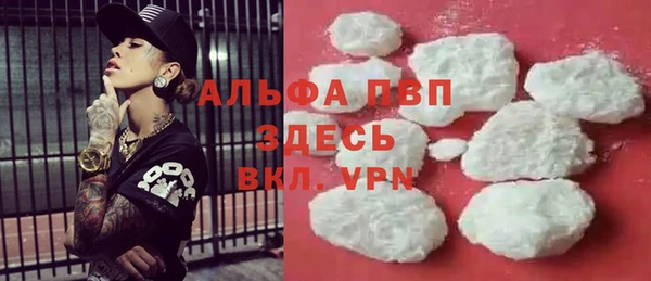шишки Беломорск