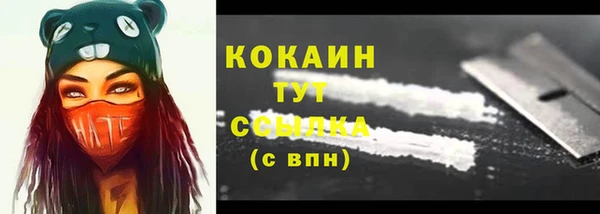 шишки Беломорск