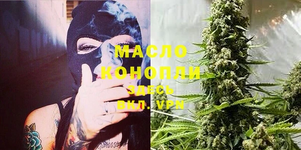 шишки Беломорск