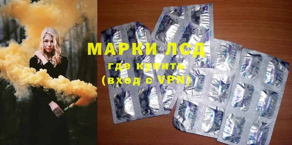 крисы Новозыбков