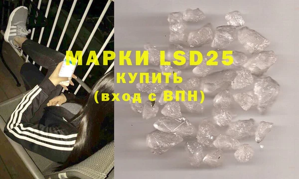 шишки Беломорск