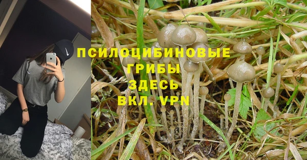 spice Белоозёрский