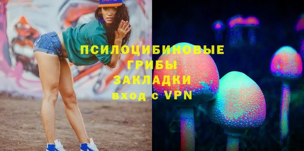 метадон Богданович