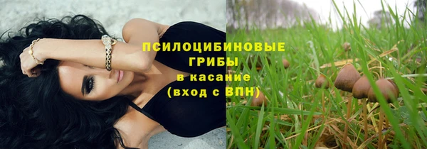 каннабис Белокуриха