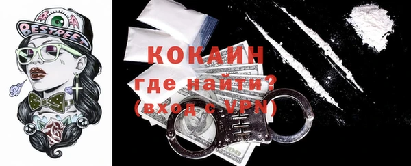 шишки Беломорск